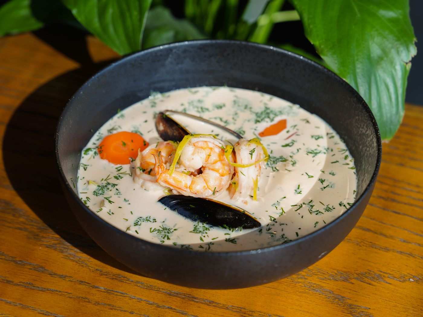Mussel and Saffron Soup