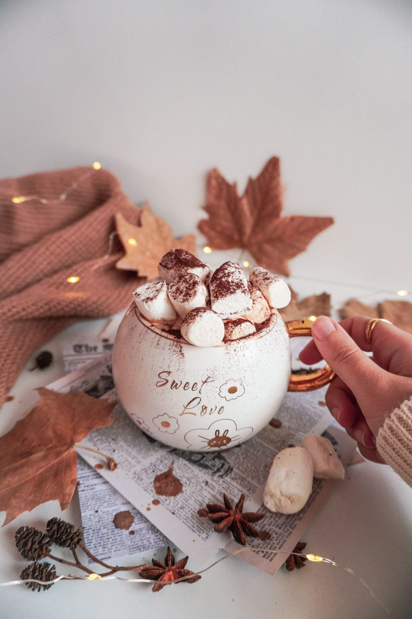 Rich Dark Hot Chocolate — photo 1